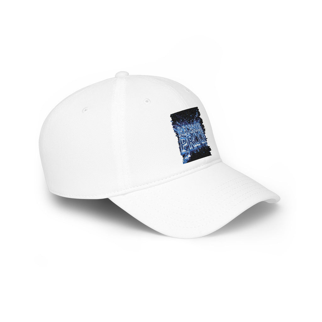 Recession Proof 💯 Low Profile Baseball Cap