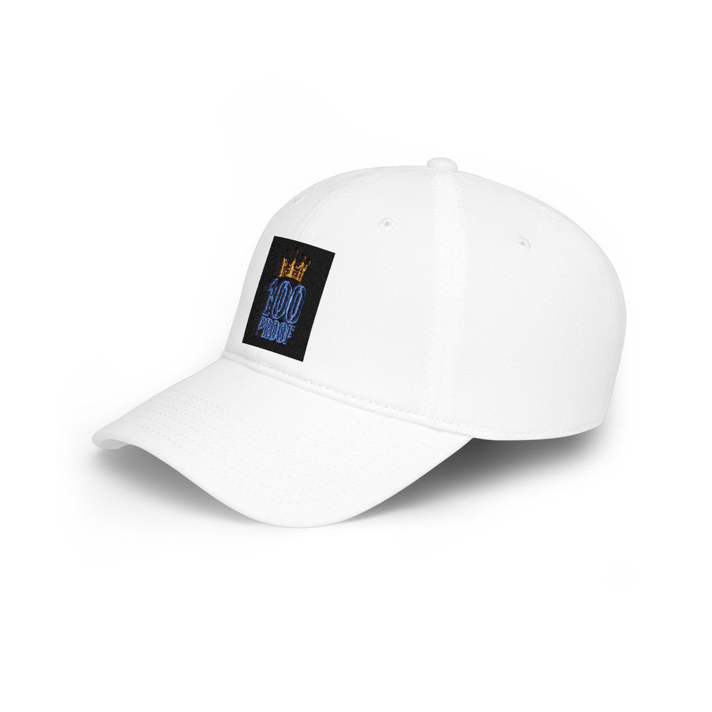 Blue House 🥶💯 Low Profile Baseball Cap