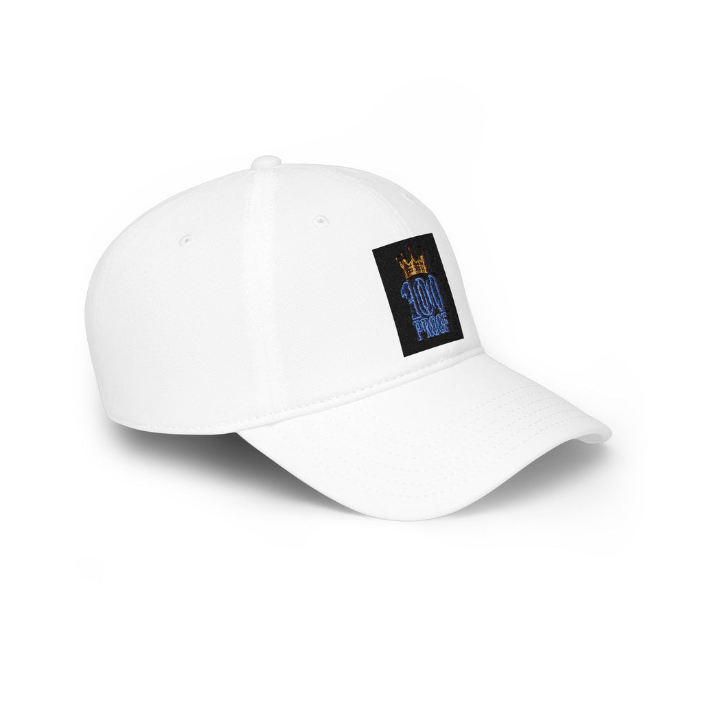 Blue House 🥶💯 Low Profile Baseball Cap