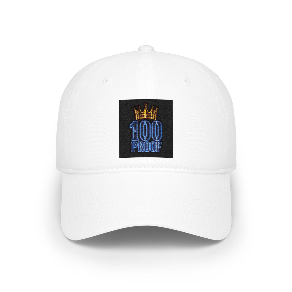 Blue House 🥶💯 Low Profile Baseball Cap